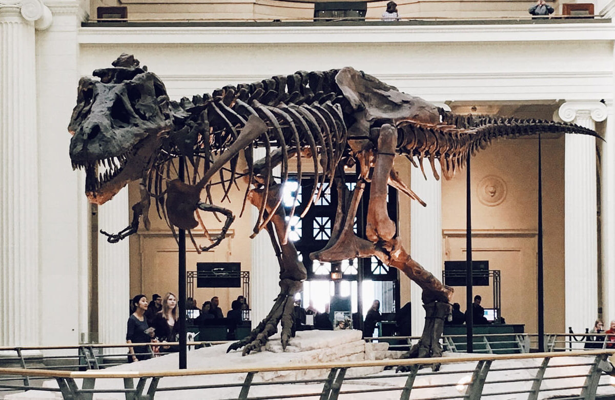 exhibition gallery item